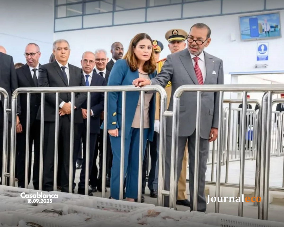 JOURNALECO1's tweet photo. Casablanca ✨ | Sa Majesté le Roi Mohammed VI a inauguré d’importants projets portuaires d’une valeur de 5 milliards de dirhams, marquant une étape stratégique dans le développement économique et maritime du Royaume. 🚢🇲🇦 https://t.co/kg1Qcz6byJ