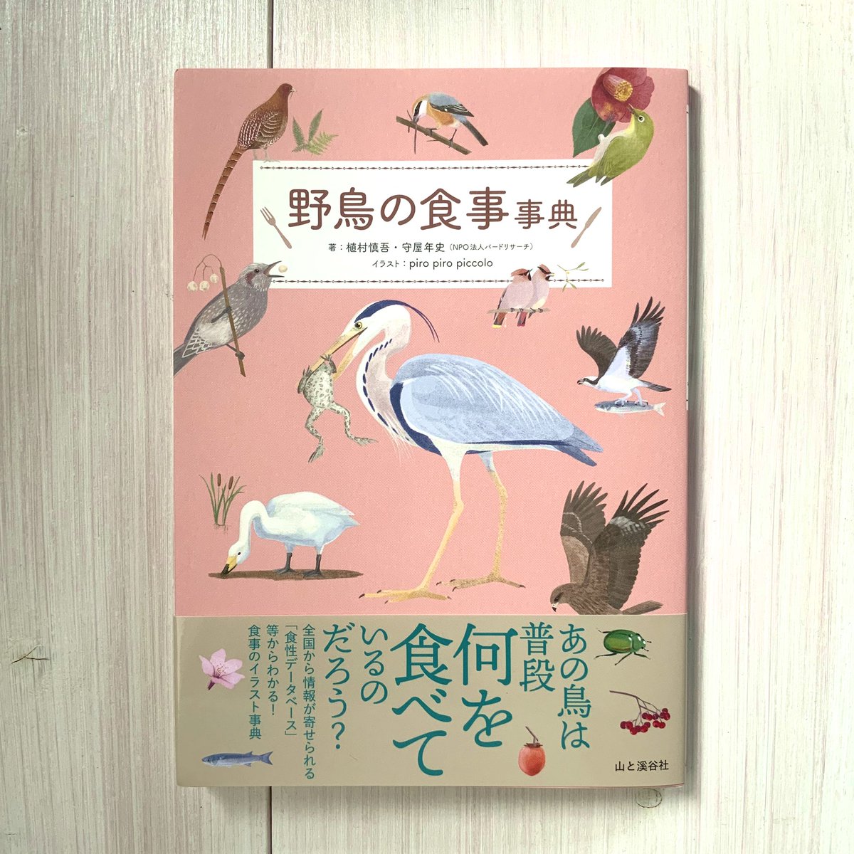 「野鳥の食事事典」の見本が届きました！
バードリサーチさん(<a href="/BirdResearch/">バードリサーチ</a> )との共著で、イラストを担当しております。10月1日発売です！
↓予約スタートしてます。中身イメージも載っているのでぜひご覧ください〜
amzn.asia/d/3wO2JSL