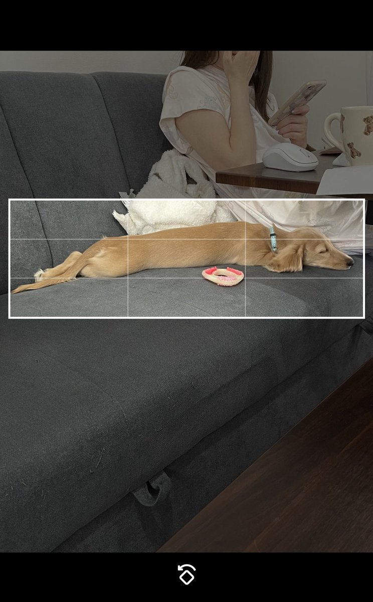 胴長族にとってヘッダーの比率3:1なんて余裕すぎるわよ