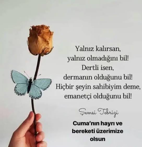 ✦ mecrûh ✦ (@vayeibender) on Twitter photo 