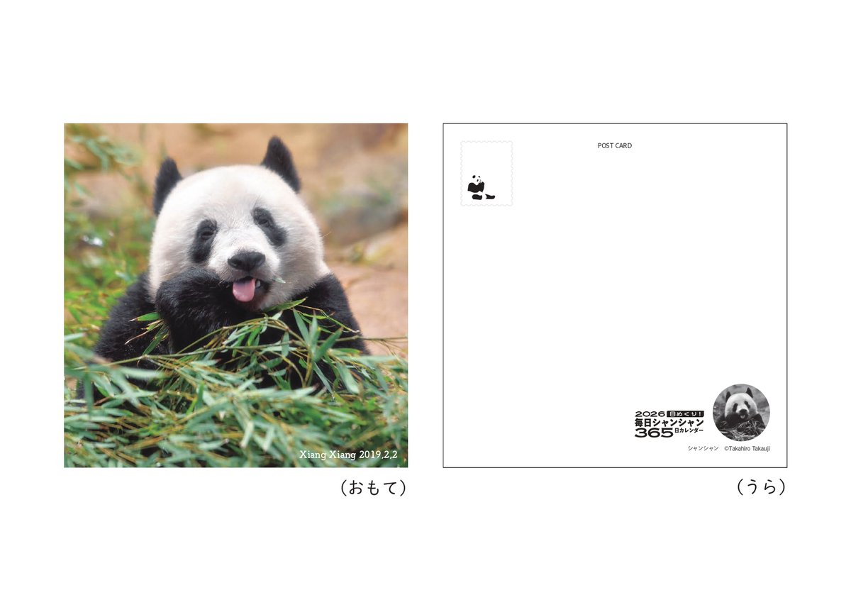 パンダになりたい(LOVE612香香) (@pandaninaritai7) / Posts / X