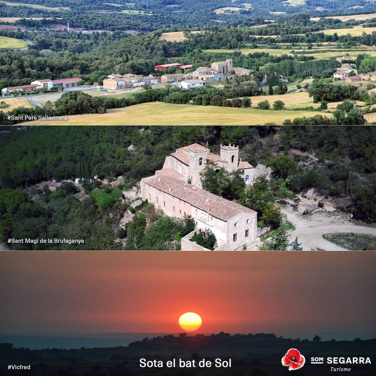 Som Segarra tweet media