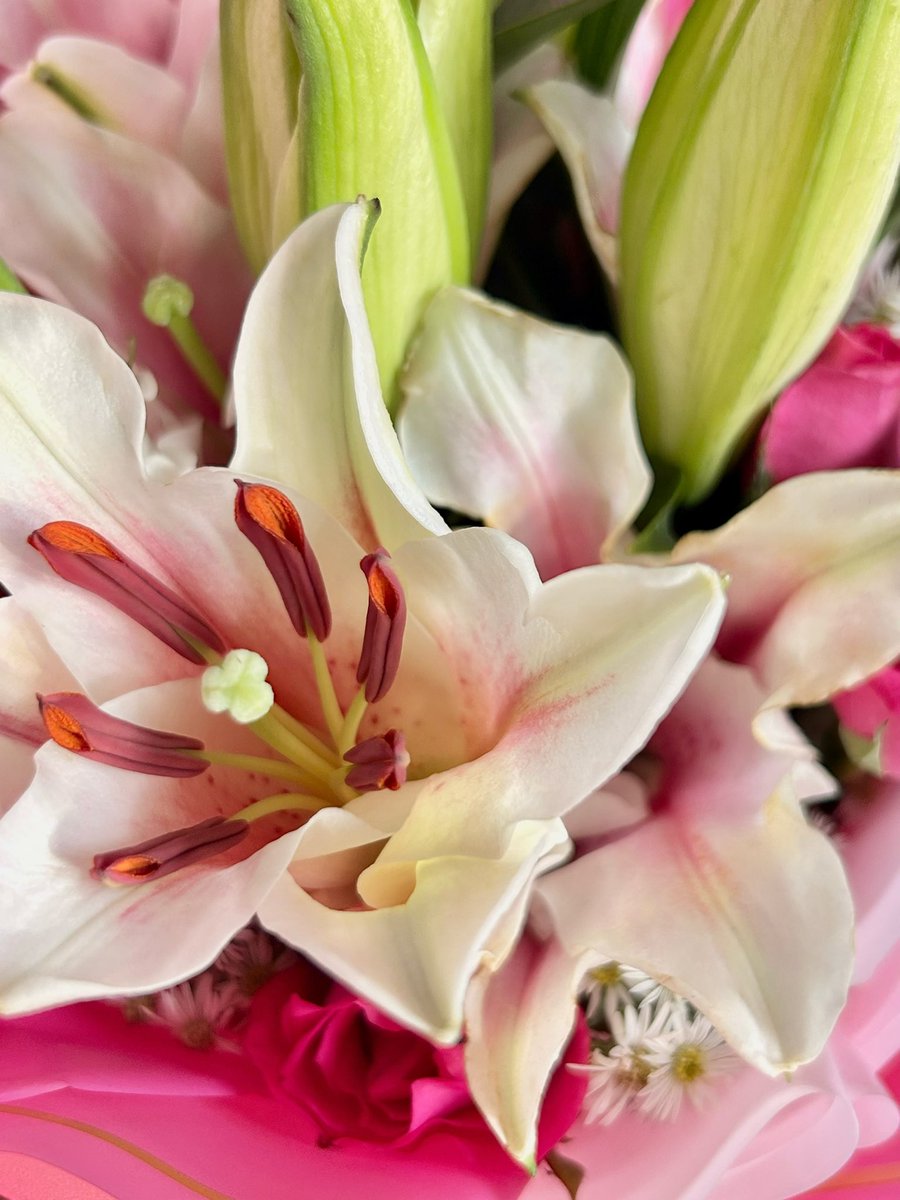 02luvmails's tweet image. just a girl who loves staring at her very first bouquet 𝜗𝜚