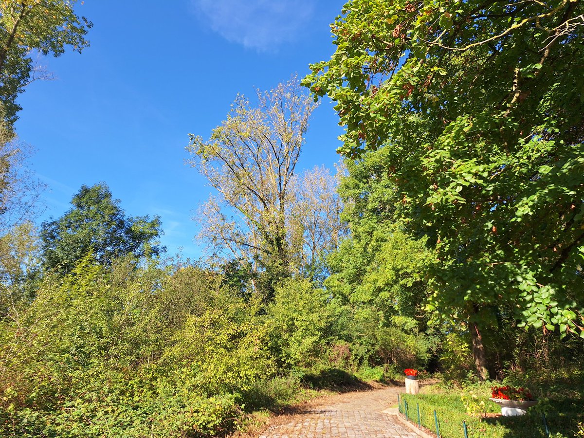 Susanne Verberk tweet media