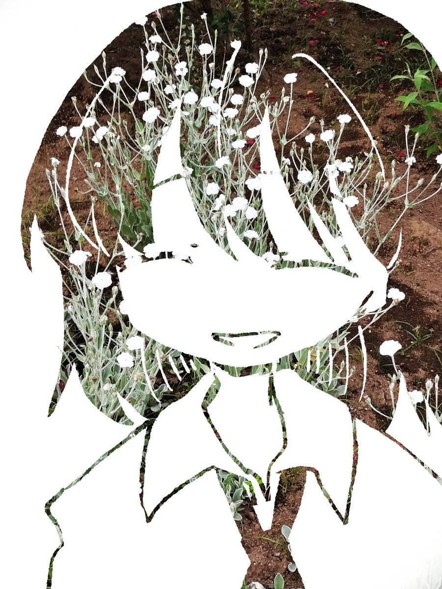 ヤナギハ tweet media