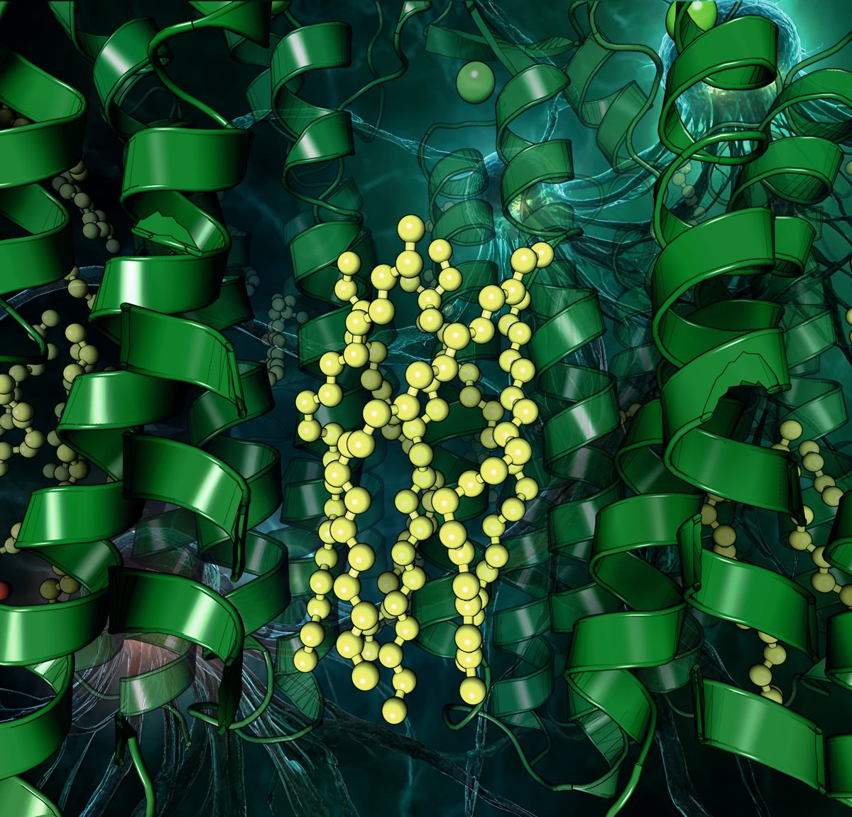 Here you can see a recent cryoEM structure of the light-driven sodium-pumping rhodopsin KR2 (PDB code: 8RQ5)

Rendering by Francisco J. Enguita (<a href="/fenguita/">Francisco J. Enguita</a>) made with #ProteinImager

3dproteinimaging.com/protein-imager…

#SciArt #molecularart #pump #ion #sodium #light #rhodopsin #cryoem