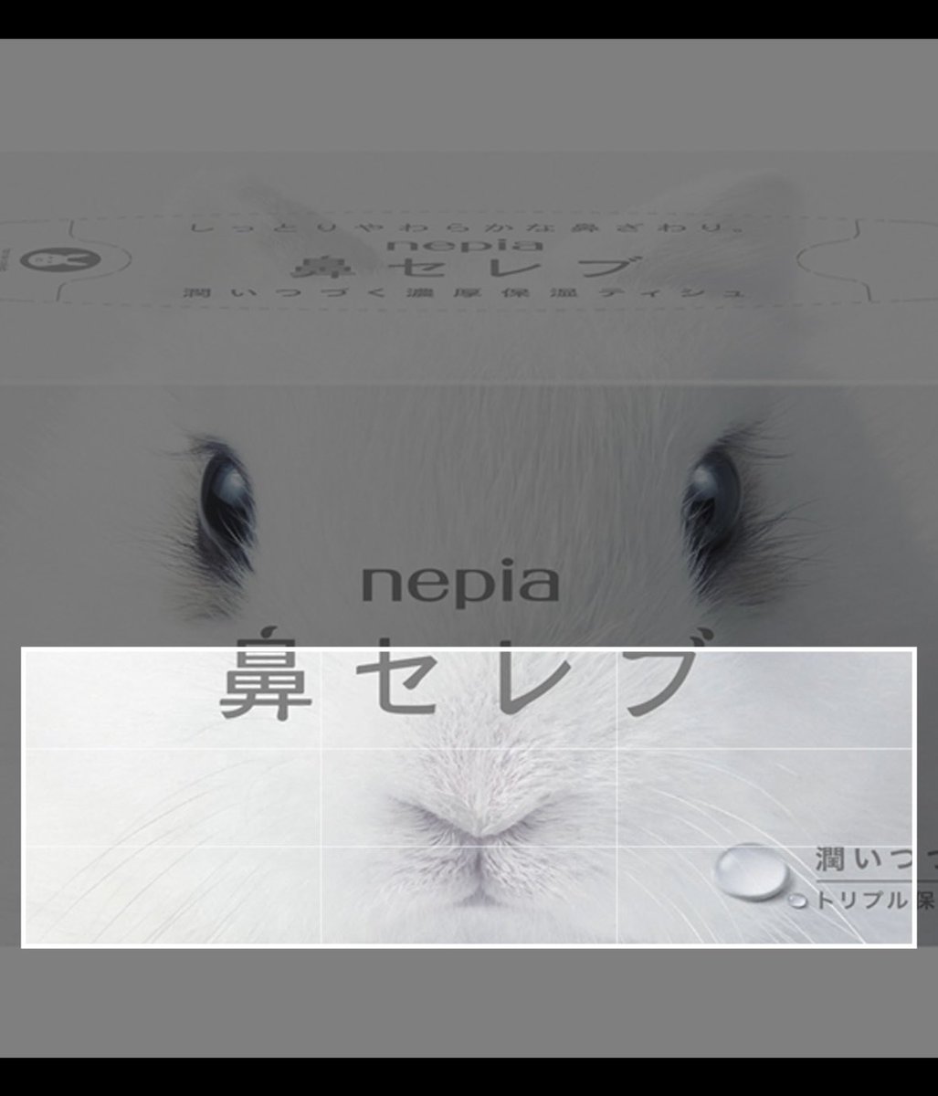 ⭐️ ハナセレブです おしゃべり鼻セレブ イイズナ｜商品情報｜タカラトミーアーツ