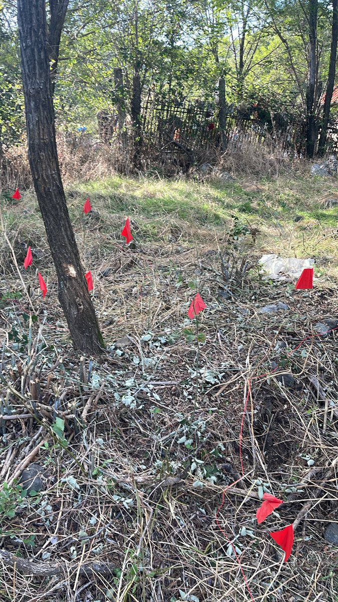 GentaSula's tweet photo. Me teknologjinë Total Station,  @aidssh fale bashkëpunimit me @icmp dhe financim nga @EUAmbAL,  po organizon matje 3D që tregojnë se zona e dyshuar me eshtra të personave të zhdukur nga komunizmi ne Shpal Mirdite,  jo vetem ka gjasa te kete rezultate pozitive por  është më e gjerë nga sa mendohej. Kjo analize  ka ndihmuar të përcaktohen kufijtë për gërmime të kujdesshme, duke respektuar dinjitetin e viktimave dhe duke mbështetur familjet në kërkim të së vërtetës.

Ky projekt,  kombinon teknologji moderne dhe ekspertizë forenzike për të identifikuar të zhdukurit, duke kontribuar në drejtësinë tranzitore dhe shërimin kolektiv. Ky mision rilevon 6 site perfshi varrezat e Rrmajit ne Shkoder.