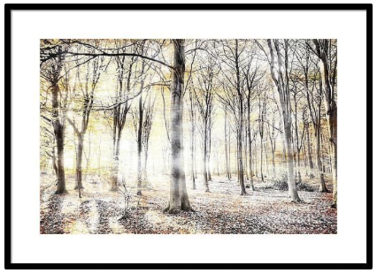 Thanks for the buyer in Birmingham MI. 
I sold a 40" x 26.5" print on FineArtAmerica.com! fineartamerica.com/saleannounceme…