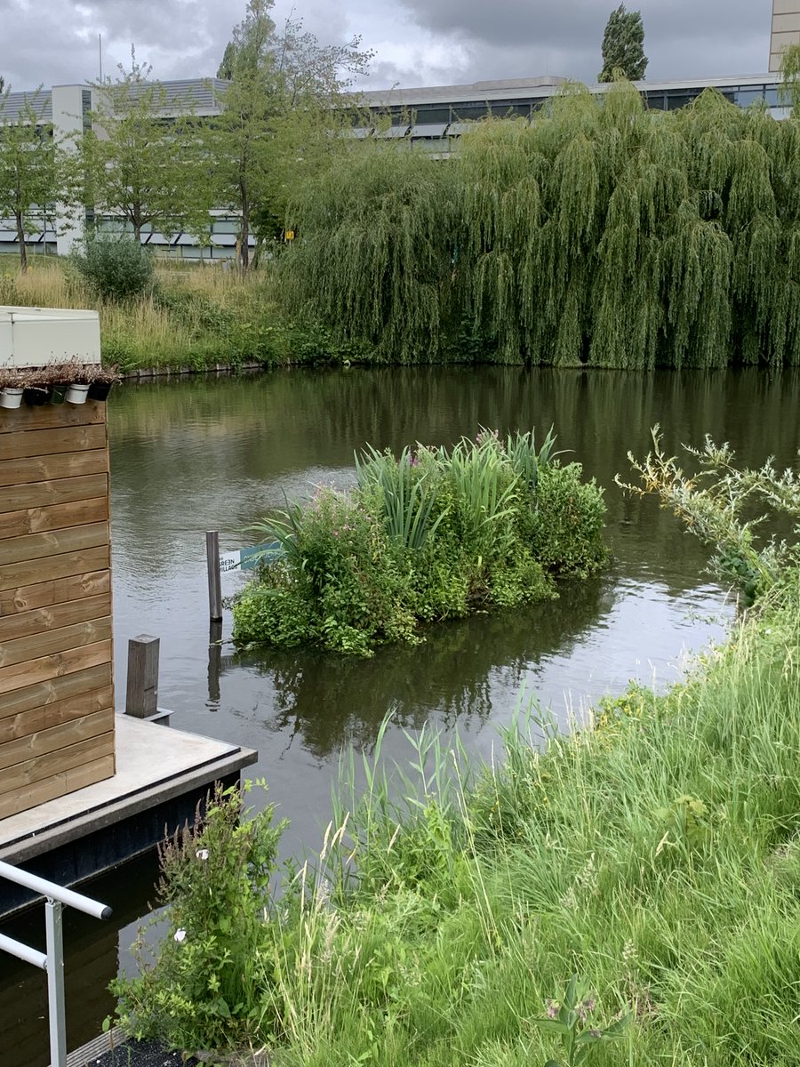 Berlin_BIS's tweet photo. 📍Auf der ICUC 12 haben wir @TheGrnVillage entdeckt – ein Reallabor für nachhaltige Innovation. Von Glasarchitektur bis Aquathermie: Hier treffen Ideen auf die Praxis urbaner Transformation. 🌱 #TheGreenVillage #Reallabor #TUdelft #Innovation #Nachhaltigkeit https://t.co/X1CbCcEut9