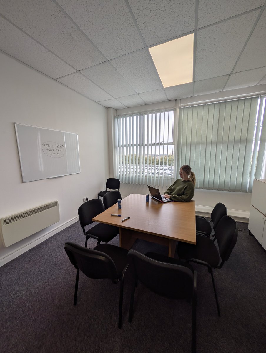 Stallion tweet media