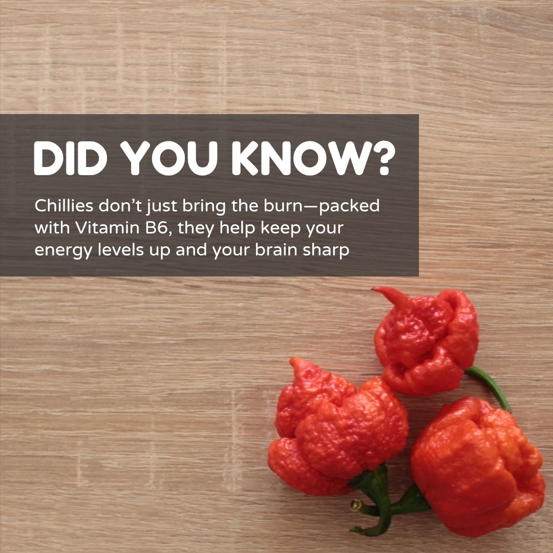 chillifoundry's tweet photo. Did you know? 🌶️🔥
Chillies don’t just bring the burn—packed with Vitamin B6, they help keep your energy levels up and your brain sharp 🧠⚡
Think of them as nature’s pre-workout… only way tastier (and hotter) than an energy bar. 😉
#Chillifoundry #DidYouKnow #ChilliFacts https://t.co/ZypCWNhh75