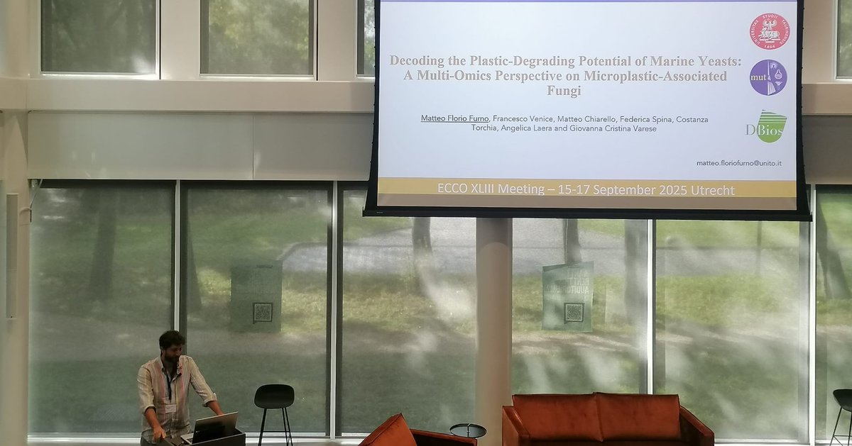 Sus Mirri tweet media