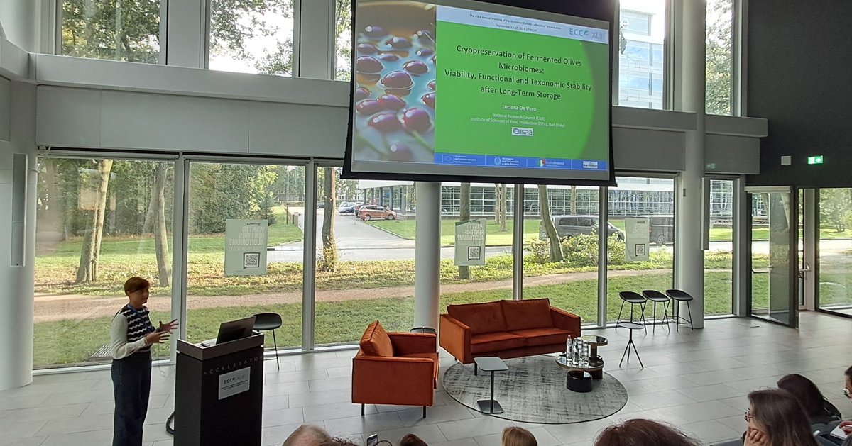 Sus Mirri tweet media