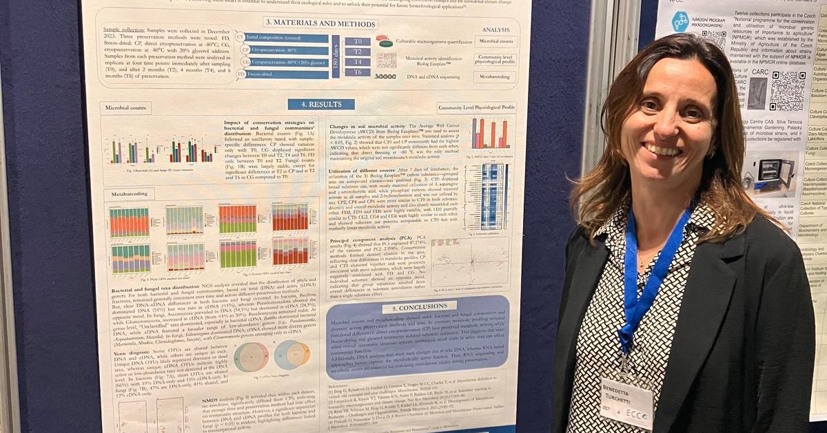 Sus Mirri tweet media