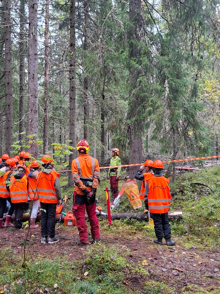Tampereen kuudesluokkalaiset tutustuivat metsänhoitoon Infran metsurien johdolla. 🌲Moottorisaha, pottiputki, turvavarusteet – ja tuhansia taimia päivässä!  Tapahtuma oli osa valtakunnallista tavoitetta viedä kaikki kutoset metsään. #Metsä #Metsurit #Tampere #TampereenInfra