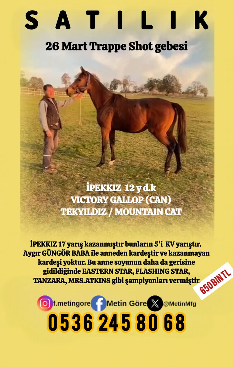 varmitalipcomtr (@varmitalip) on Twitter photo 5 i KV 17 yarış kazanan, #Güngörbaba ile anneden kardeş, #VictoryGallop kızı #TrappeShot gebesi damızlık kısrak 🎯#İpekkız satışa sunulmuştur kazanmayan kardeşi yok🧿 #VarmıTalip <a href="/AtcilikKtp/">Atçılık Kütüphanesi</a> <a href="/galatasaray1980/">erarslan</a> <a href="/Callmewinner/">Hakan F. Sever</a> <a href="/MetinMfg/">Metin F.Göre ( #AtAlımSatım)</a> <a href="/cantinazhakan/">Hakan Cantınaz</a> <a href="/01Szler/">TALARİA & LYNA</a> <a href="/AVEOTO/">Mustafa AYDIN</a> <a href="/ekaramazi/">emrah karamazı</a> 5 i KV 17 yarış kazanan, #Güngörbaba ile anneden kardeş, #VictoryGallop kızı #TrappeShot gebesi damızlık kısrak 🎯#İpekkız satışa sunulmuştur kazanmayan kardeşi yok🧿 #VarmıTalip <a href="/AtcilikKtp/">Atçılık Kütüphanesi</a> <a href="/galatasaray1980/">erarslan</a> <a href="/Callmewinner/">Hakan F. Sever</a> <a href="/MetinMfg/">Metin F.Göre ( #AtAlımSatım)</a> <a href="/cantinazhakan/">Hakan Cantınaz</a> <a href="/01Szler/">TALARİA & LYNA</a> <a href="/AVEOTO/">Mustafa AYDIN</a> <a href="/ekaramazi/">emrah karamazı</a>