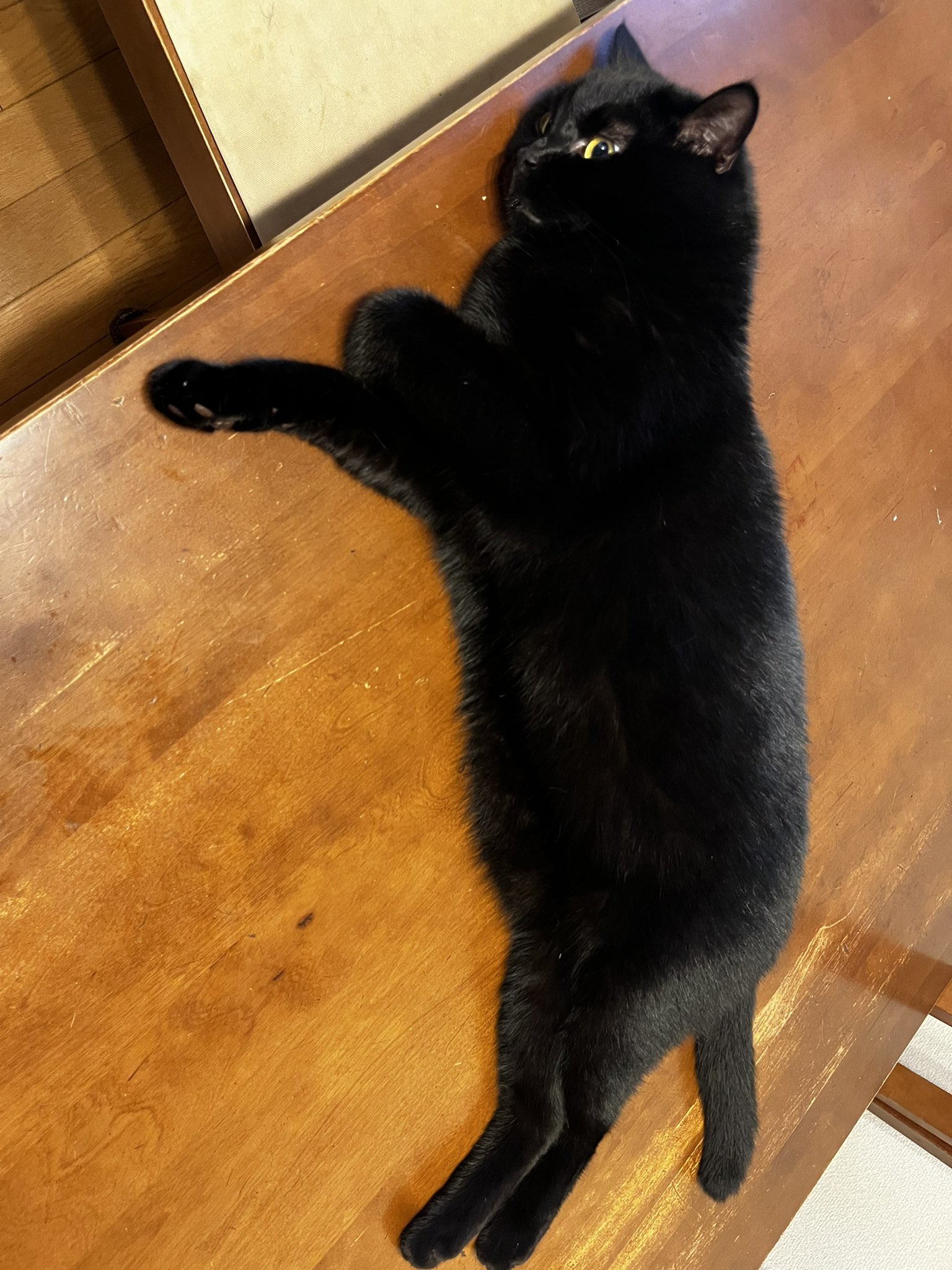 くろねこ鍾馗 on X: 