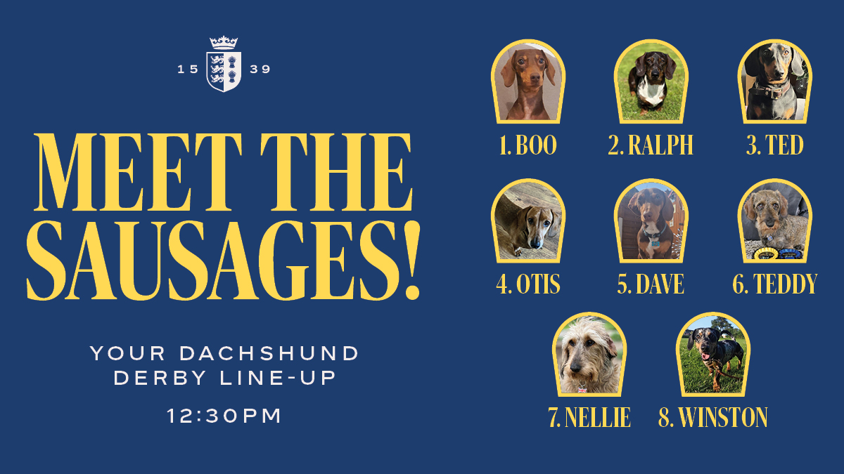 It’s Official – The Line-Up is Here!🐾

We’re ready for our first-ever Dachshund Derby, taking place at our Oktoberfest Season Finale tomorrow, Saturday 20 September!🐶

🌭Our Dachshund Derby stars:
Boo, Ralph, Ted, Otis, Dave, Teddy, Nellie &amp; Winston🏁

Who will take the win?🏆