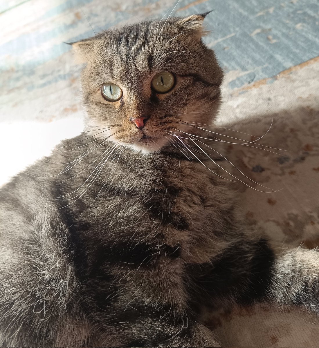 Hiç yuk mu soranım?