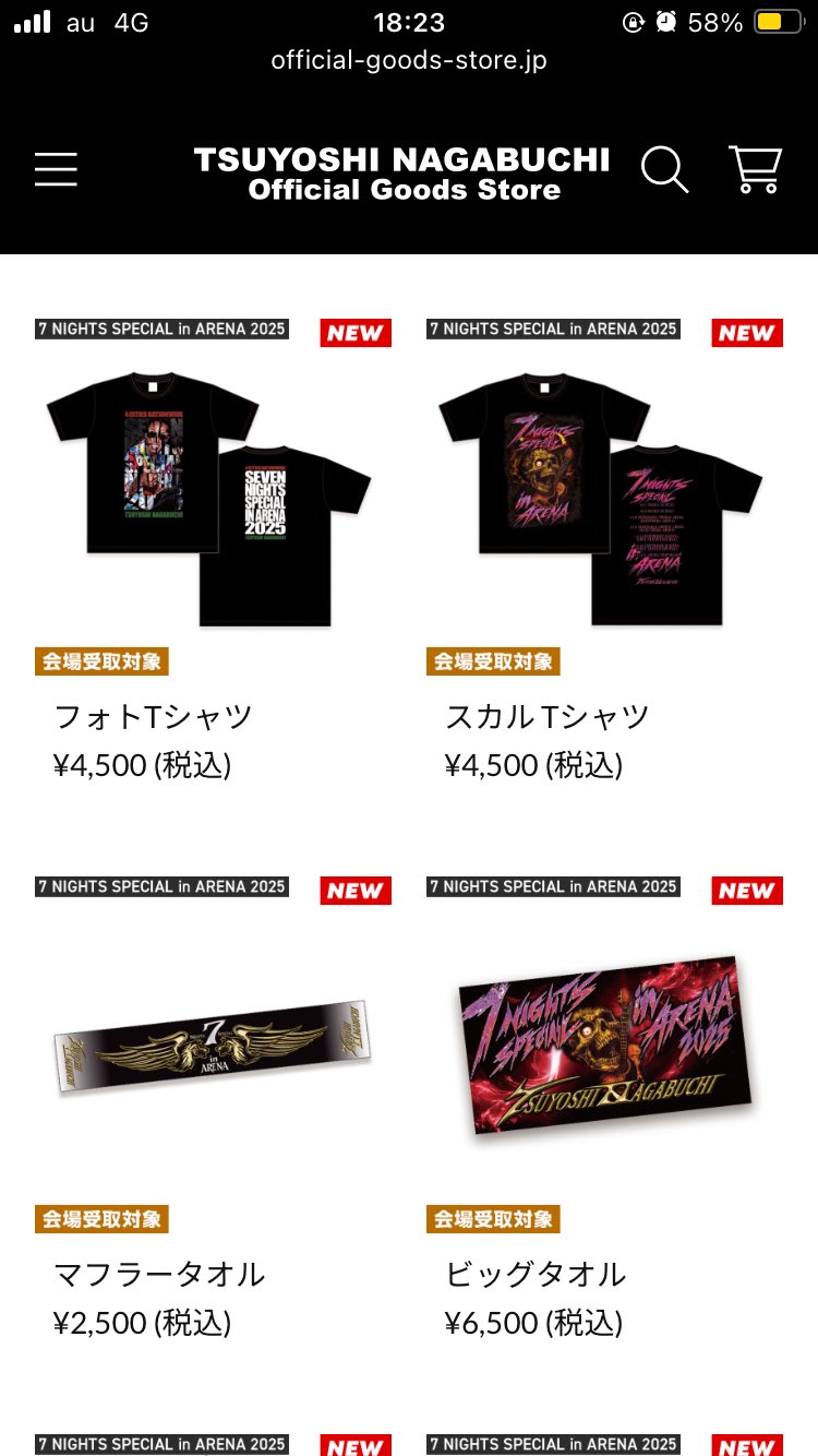 長渕剛☆ＮＥＶＥＲ ＣＨＡＮＧＥ ＬＩＶＥグッズ Z 長渕剛 NEVER CHANGE 大型パンフレット 本 長渕剛グッズ