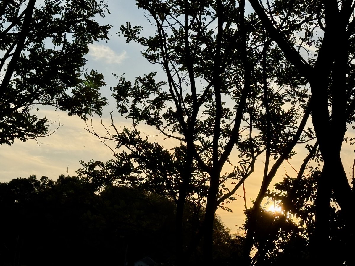 bubuneko (@infinita_lux) on Twitter photo 