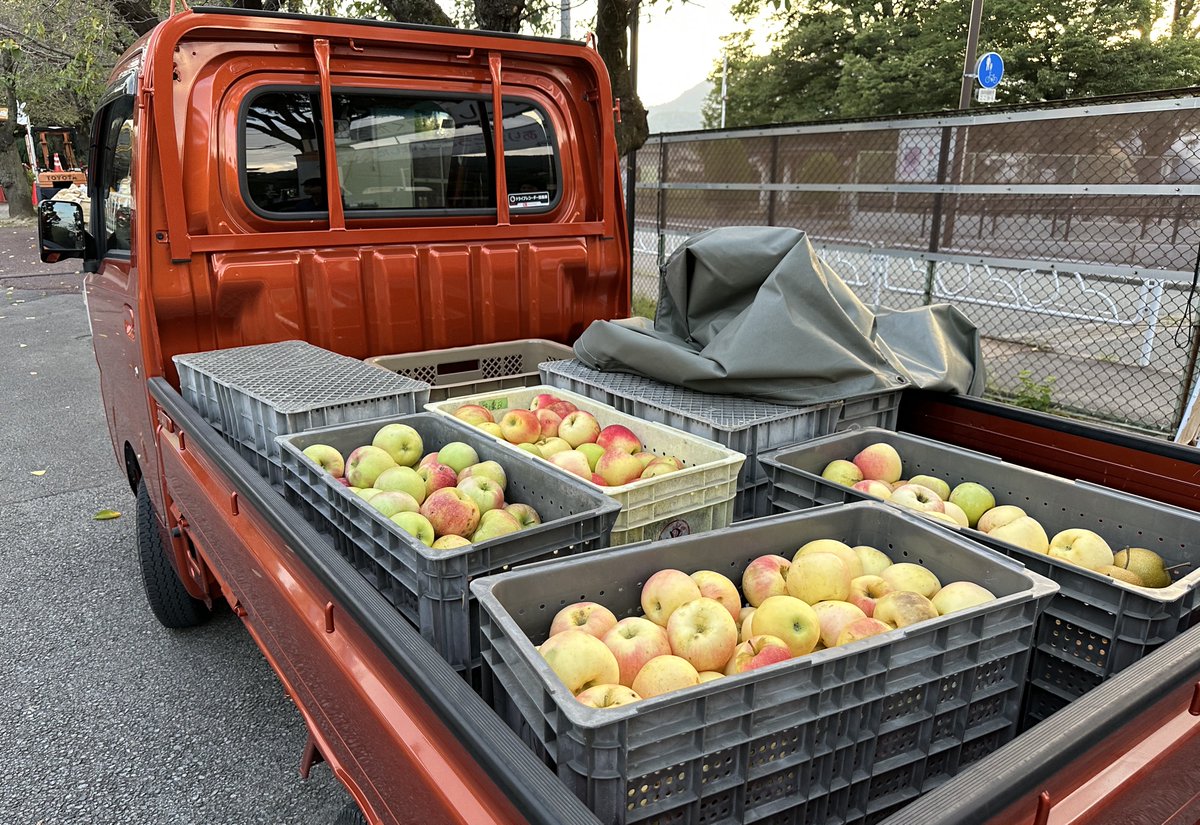 jyz0586's tweet image. 🍎お知らせ🍎

長野県更級農業高等学校様より、
軽トラいっぱいのリンゴと梨をいただきました！
ありがとうございます✨

さっそくニホンザル、ワオキツネザル、ケープハイラックスにプレゼントしました🎁

#更級農業高等学校
#城山動物園　#茶臼山動物園