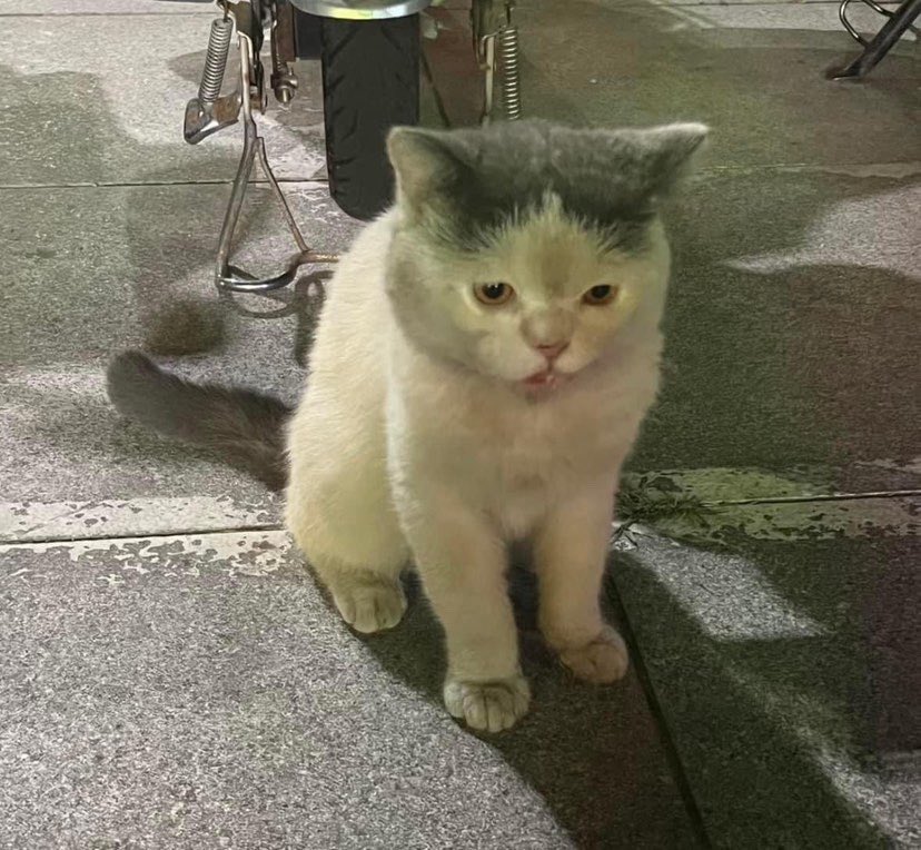 tinybudd's tweet image. รับงานเพื่อนเที่ยวนะคะ กินข้าว ไปหอ ดูหนัง เดินเล่น อยู่เป็นเพื่อน เดินชิล เป็นที่ปรึกษารับฟังปัญหา ระบายอารมณ์ เป็นเพื่อนคุย ราคาคุยได้ no sex! #เพื่อนเที่ยว #จ้างเที่ยว #รับจ้างเที่ยว #หาคนดูแล #หาคนเปย์  #หาค่าเทอม  #หาค่าหอ #หาเพื่อน #หาเพื่อนเที่ยว #หาเพื่อนดูหนัง #รับปรึกษา