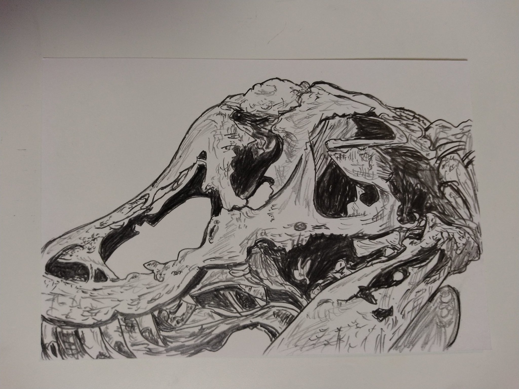 オリジナルの鉛筆画 鉛筆画です。 KMKケント紙 A5サイズ 三菱ハイユニ 使用