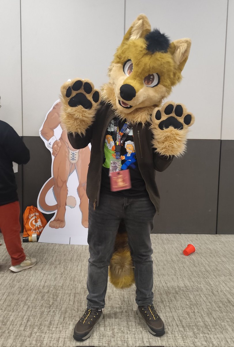 Dj Wolfe tweet media