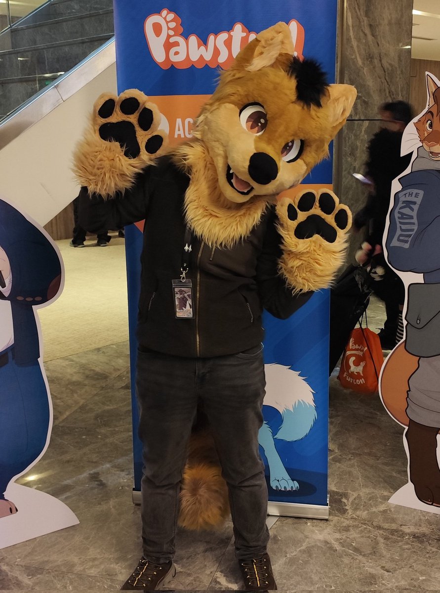 Dj Wolfe tweet media