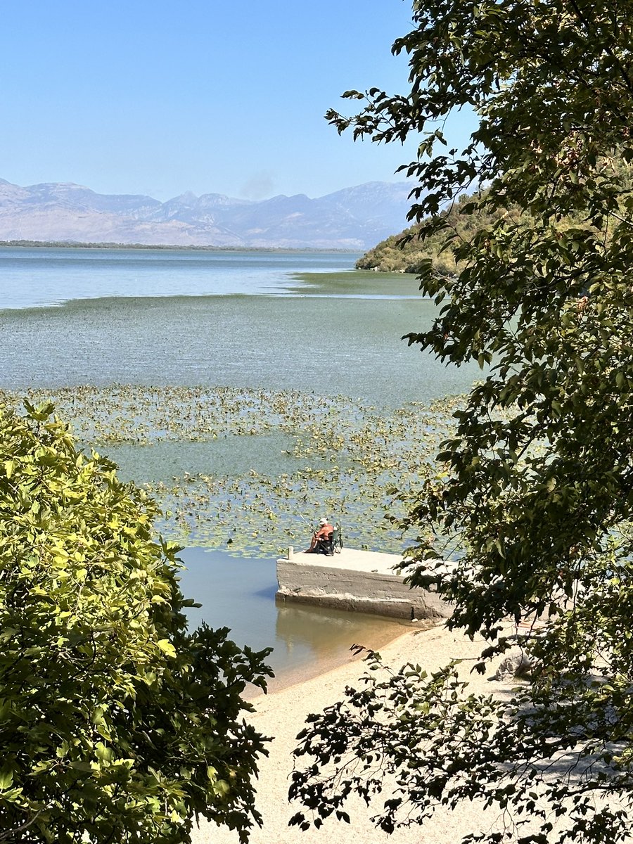 Weirdly even older fan tweet media