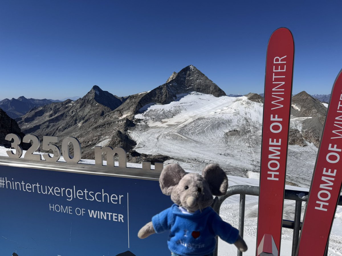 whiskersmouse's tweet image. On top of the world. #hintertuxgletscher