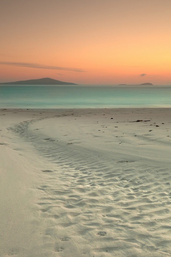 tracy birrell (@nosocksbirrell) on Twitter photo 