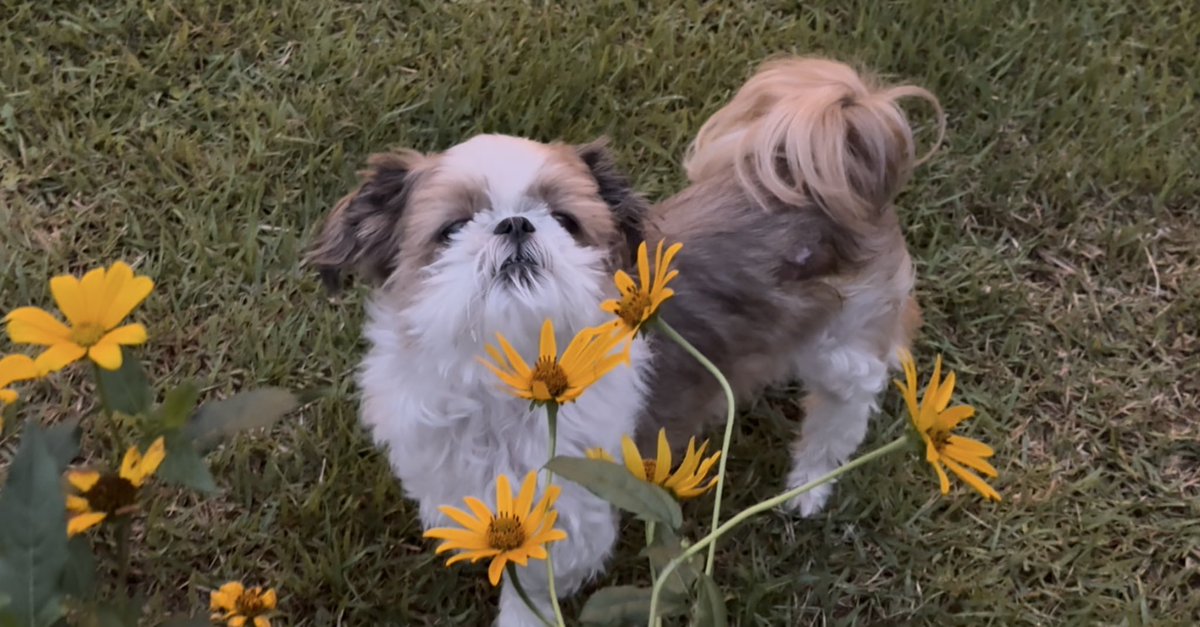 촉쵹한마당냄샤=ㅅ=