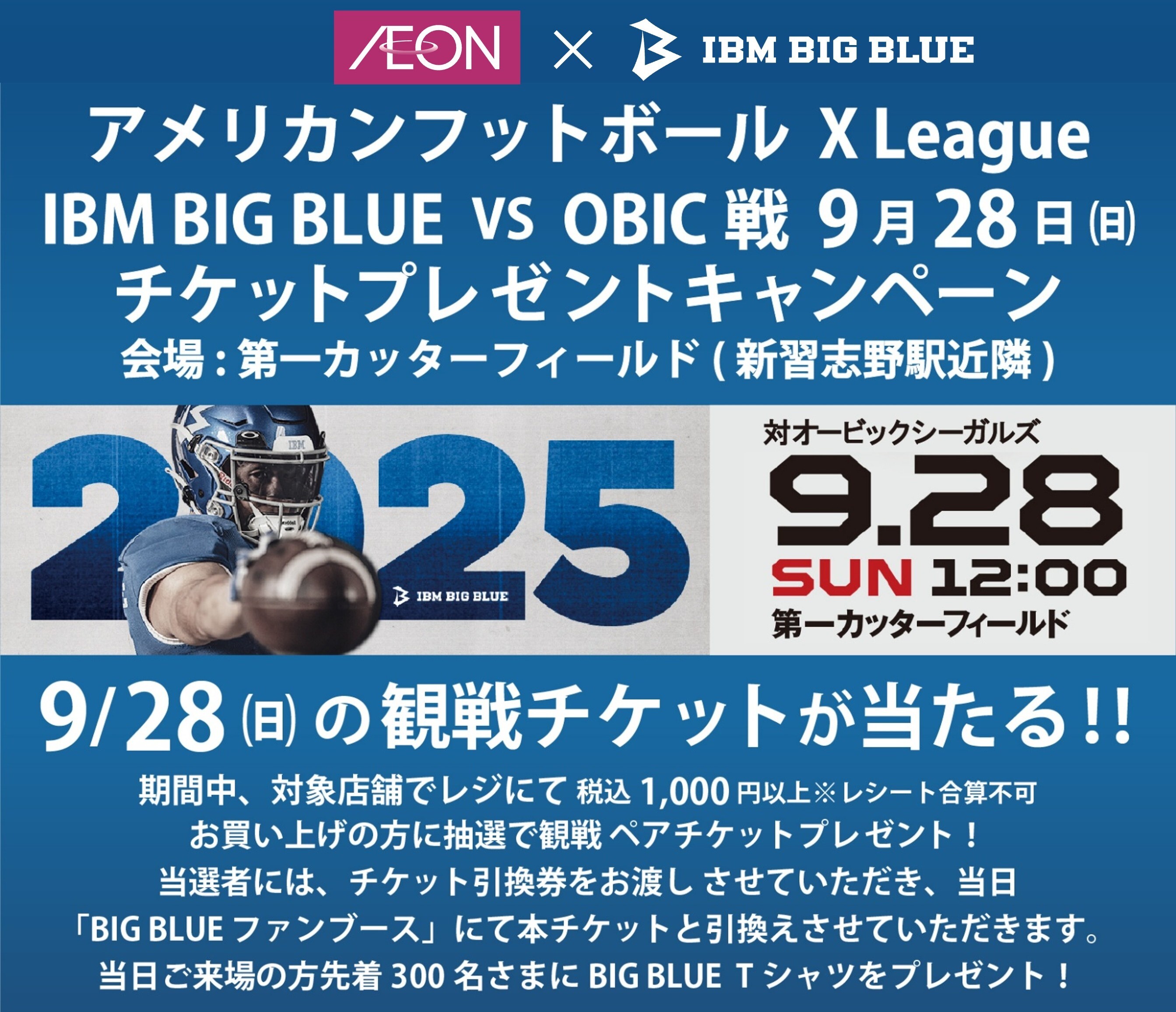 BIG BLUE FOOTBALL (@bigbluefb_) / X