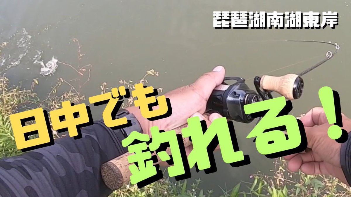 pippibiwakobass's tweet photo. 【琵琶湖バス釣り】段々とシャローで釣れる範囲も広くなってきている南湖東岸!プラグでも食ってくるところ丸見えで楽しい!
https://t.co/8sZO9fBifu
#琵琶湖
#バス釣り
#琵琶湖バス釣り
#バスフィッシング
#ベイトフィネス
#SHINDY110SS https://t.co/lZWhPxPxgU