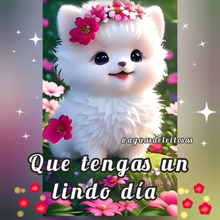 BlancaOlivaresB's tweet photo. https://t.co/Jsv3qMzzfk