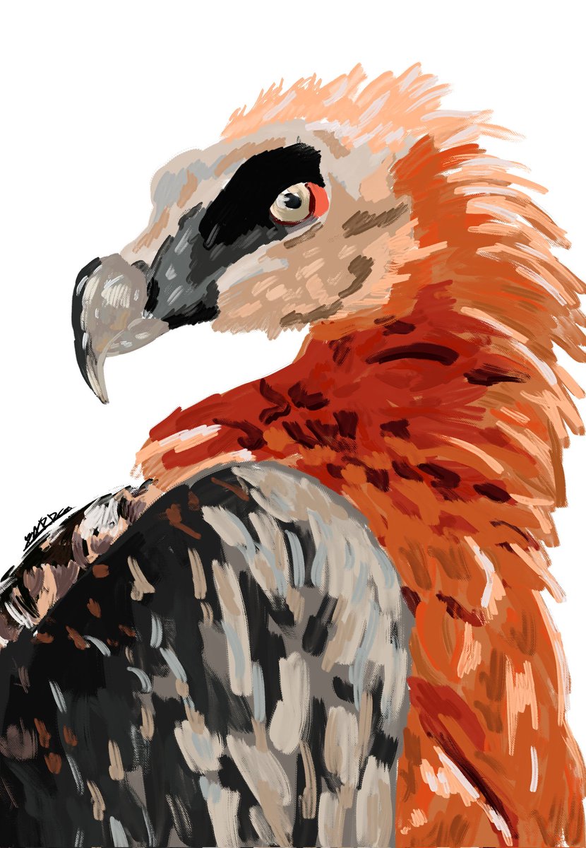 pues hice esto

rt y esas cosas pa que llegue a mas gente que se agradece mucho