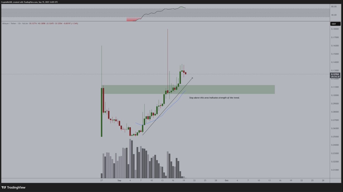 Michaël van de Poppe tweet media
