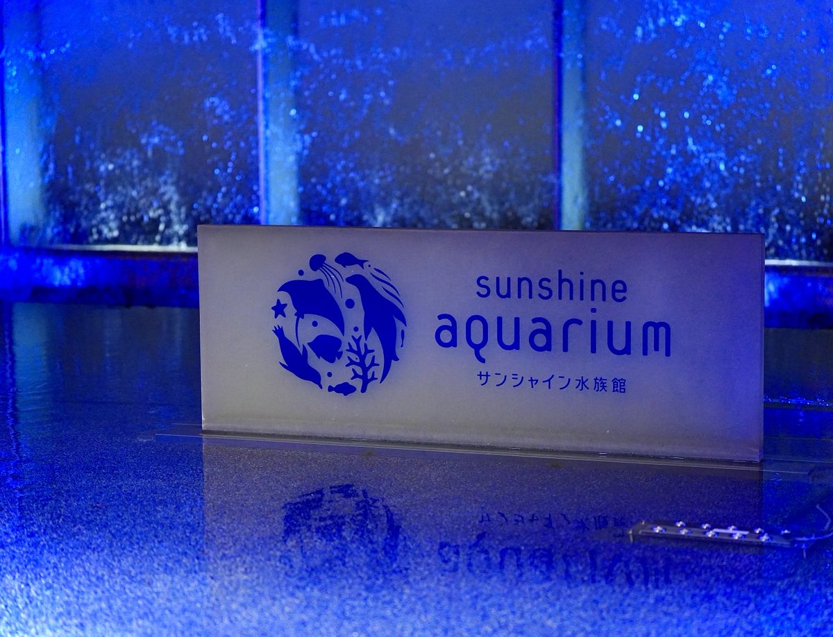 本日は水族館で撮影のお仕事🐬