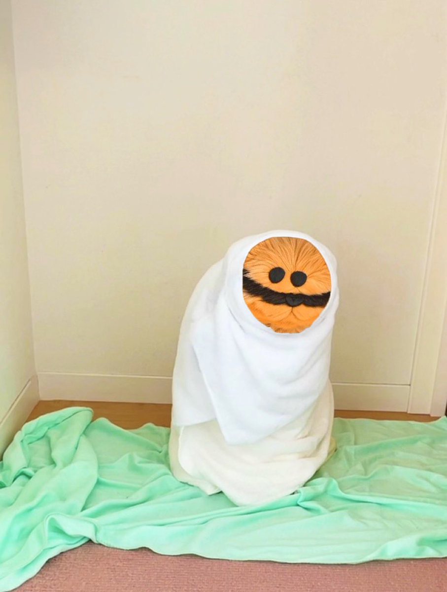 Day 262 of 365 Days of Gizmo.

“Final Form”