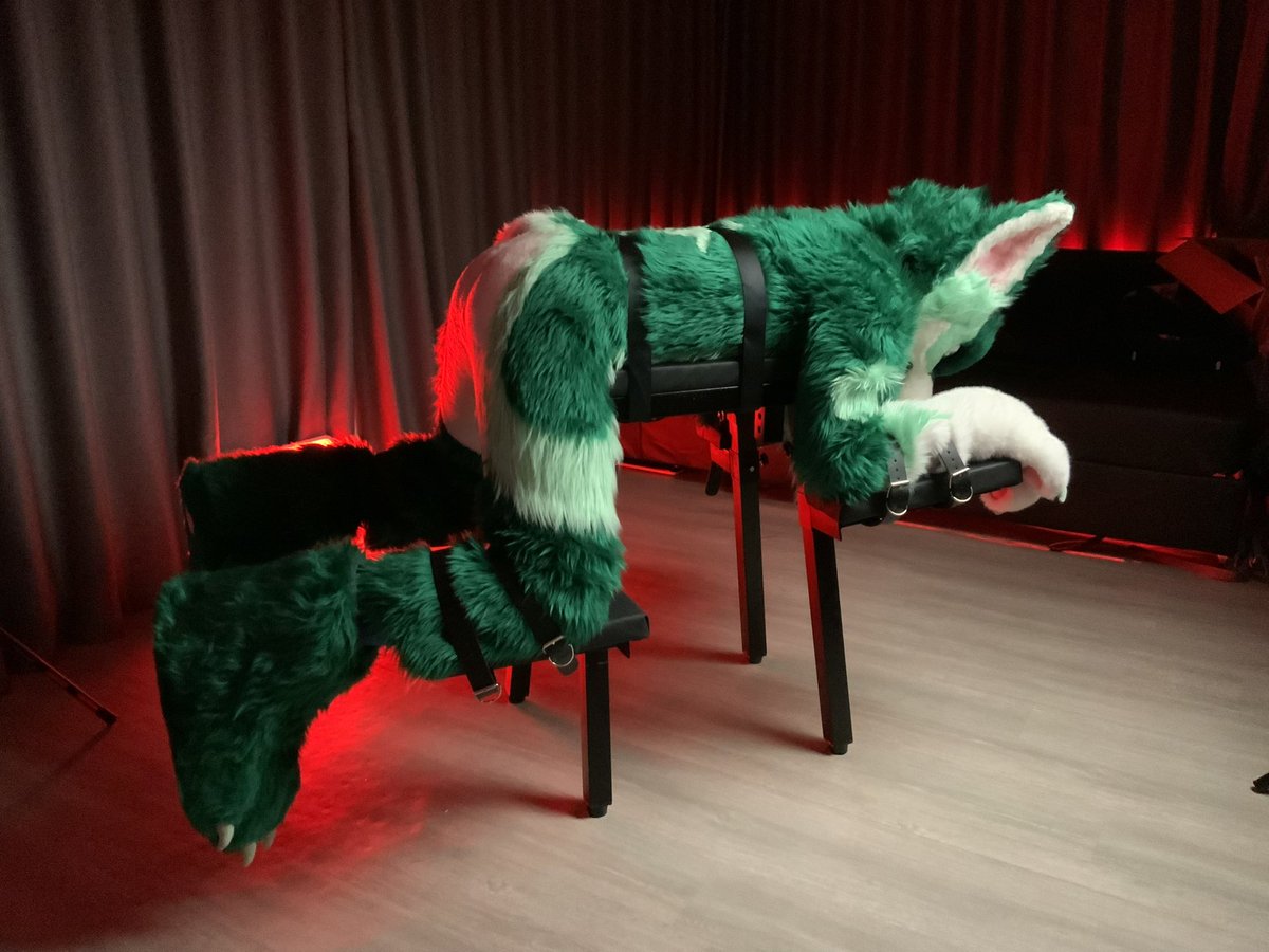 Don’t mind me. I am just trying to be a furniture. (?)

#FursuitFriday