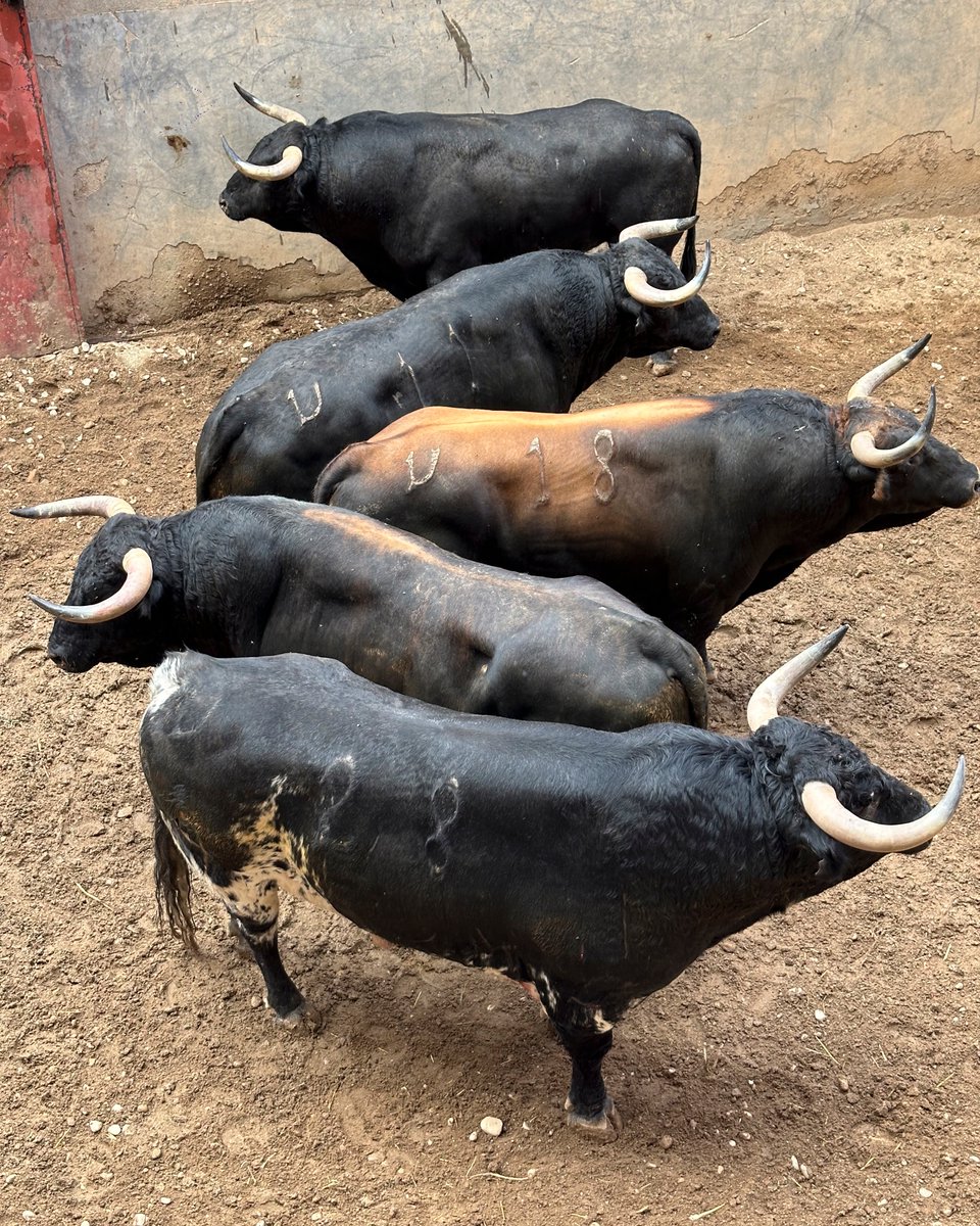 Funtausa tweet media