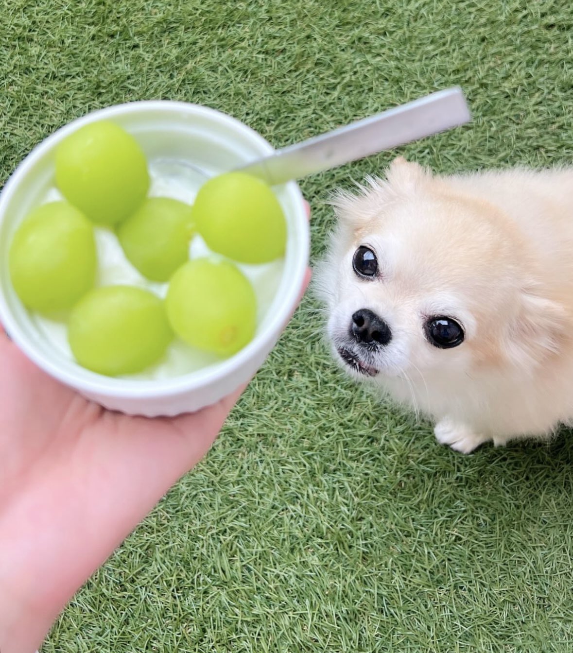 犬夜叉　わんわんお　再録集　　　　　　　　　　　　　　　♡HAPPINESS２♡ 犬夜叉 わんわんお 再録集 ♡HAPPINESS2♡ 犬夜叉 わんわんお 再録集 ♡
