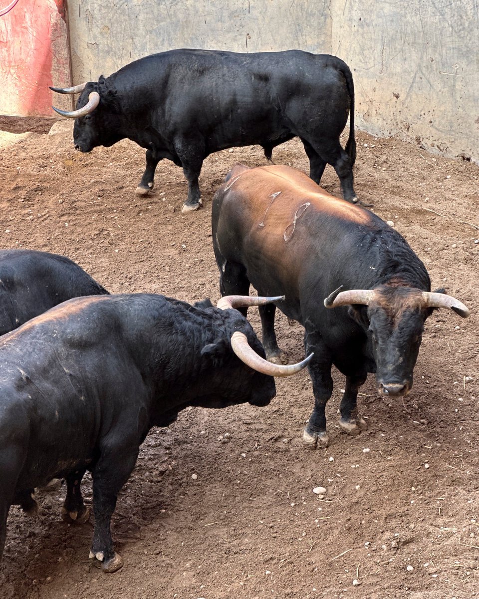 Funtausa tweet media