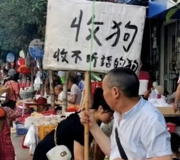 DarkWing tweet media