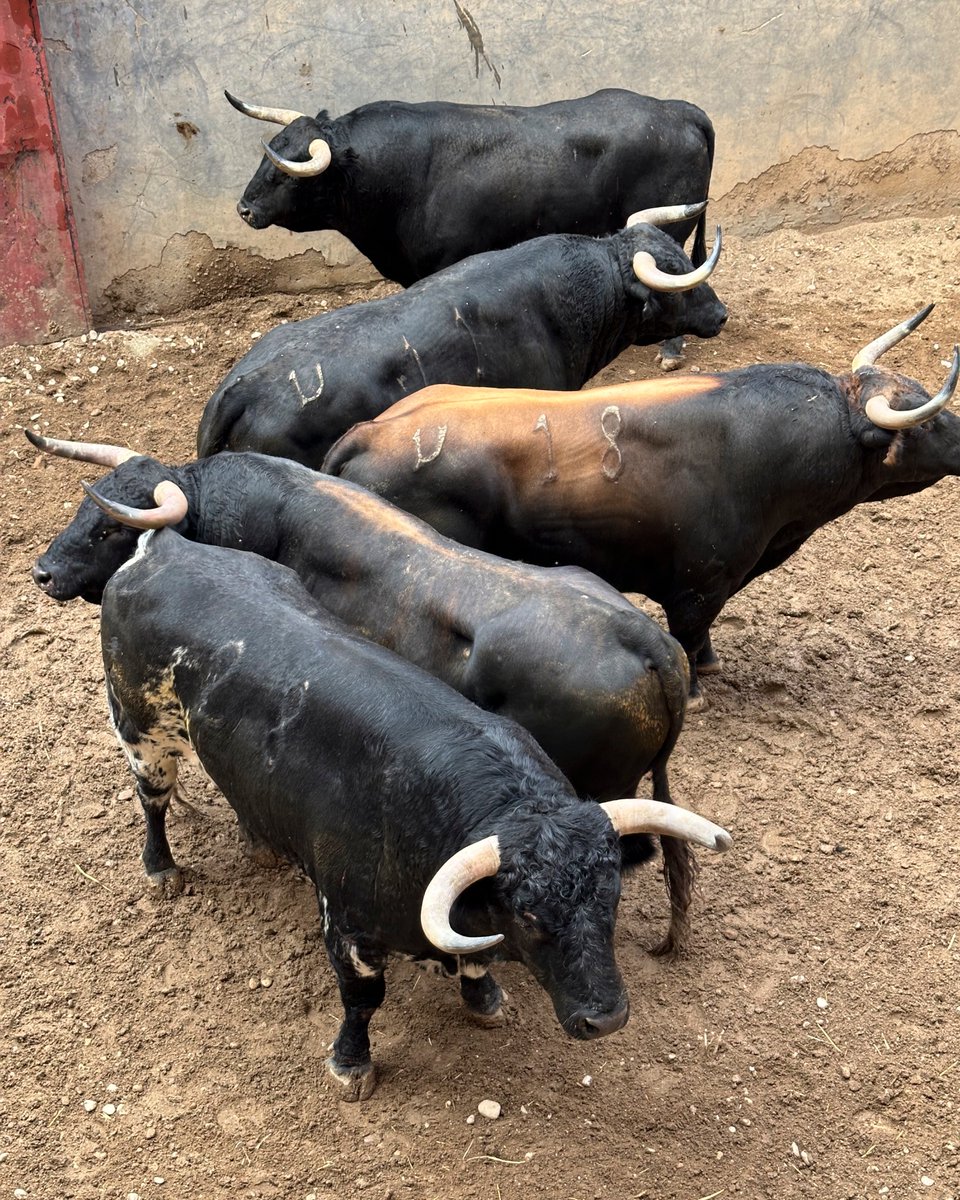 Funtausa tweet media