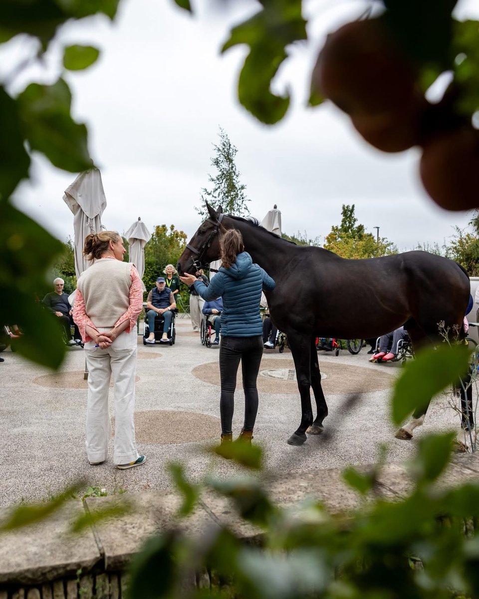 wincantonraces's tweet photo. We’re proud to have @HoratiosGarden as our charity partner this season! To launch the partnership, much-loved racehorse Frodon visited their beautiful Salisbury garden 🌿 Join us for Horatio’s Garden Raceday on Sun 26 Oct. 🐎💚 #RacingForGood https://t.co/4igh0F3WhH