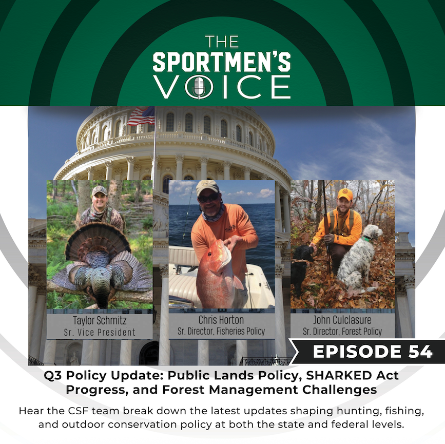 Listen to Q3 policy updates from The Sportsmen's Voice Podcast with host, Fred Bird. Topics covered include: Public Lands Policy, SHARKED Act Progress, and Forest Management Challenges. Download The Sportsmens Voice Podcast wherever you get your podcasts.